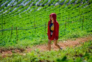 BIB: 
                            <button type="button" onclick="openModal(19164768)" class="btn btn-primary btn-sm float-right btn-popup" data-toggle="modal" data-target=".modal-high-quality">
                        <i class="fas fa-shopping-cart"></i> Add to Cart
                    </button>
                                            <button type="button" onclick="isThisMe(19164768, true)" class="btn btn-success btn-sm float-right btn-popup btn-isme hidden" data-toggle="tooltip" data-placement="bottom" title="นี่คือรูปของคุณใช่ไหม คลิกที่นี่เพื่อเอาเข้าอัลบั้ม">
                        <i class="fas fa-plus"></i> Add to album
                    </button>
                    <button type="button" onclick="isThisMe(19164768, false)" class="btn btn-warning btn-sm float-right btn-popup btn-isnotme hidden">
                        <i class="fas fa-ban"></i> Remove from album
                    </button>